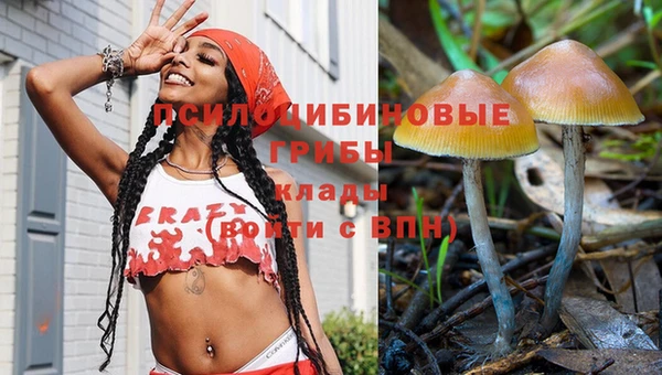 mdpv Арсеньев