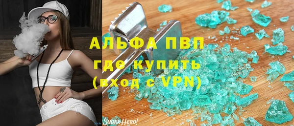 гидра Алексин