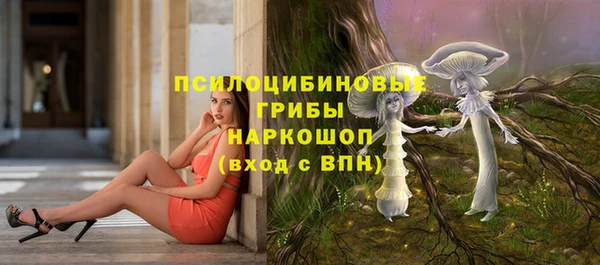 героин Алзамай